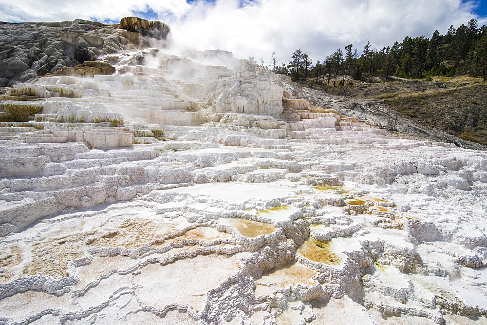 Travertine terraces in Mammoth hot springs terraces, Yellowstone National Park, UNESCO World Heritage Site, Wyoming, United States of America, North America