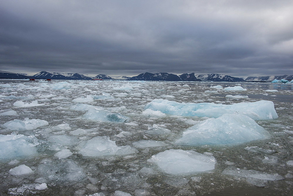 Drifting glacier ice, Hornsund, Svalbard, Arctic, Norway, Scandinavia, Europe 