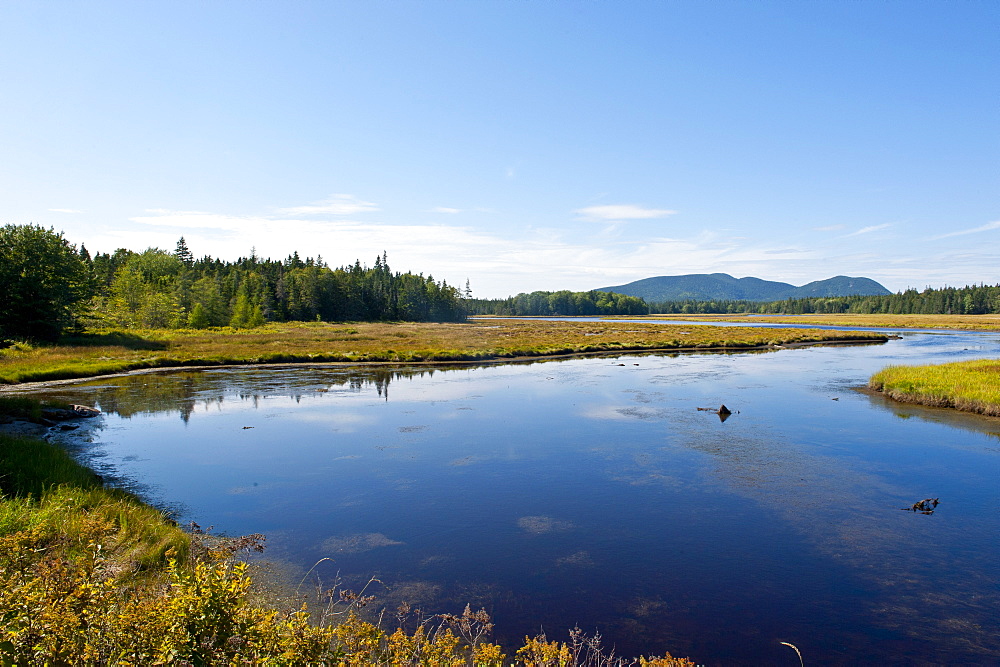 Little creek in the Acadia National Park, Maine, New England, United States of America, North America 