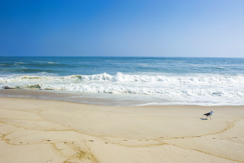 Long sandy beach in the Hamptons, Long Island, New York State, United States of America, North America