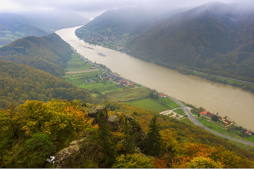 View from castle Aggstein down on the Danube River in fall, Wachau Cultural Landscape UNESCO World Heritage Site, Austria, Europe