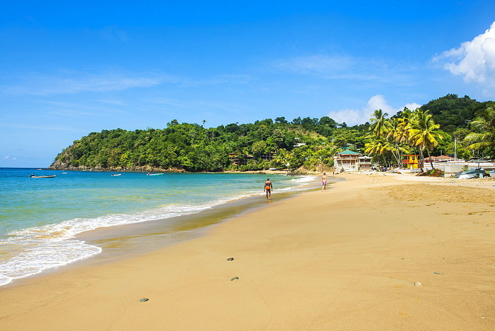 Beach of Castara,Tobago, Trinidad and Tobago, West Indies, Caribbean, Central America