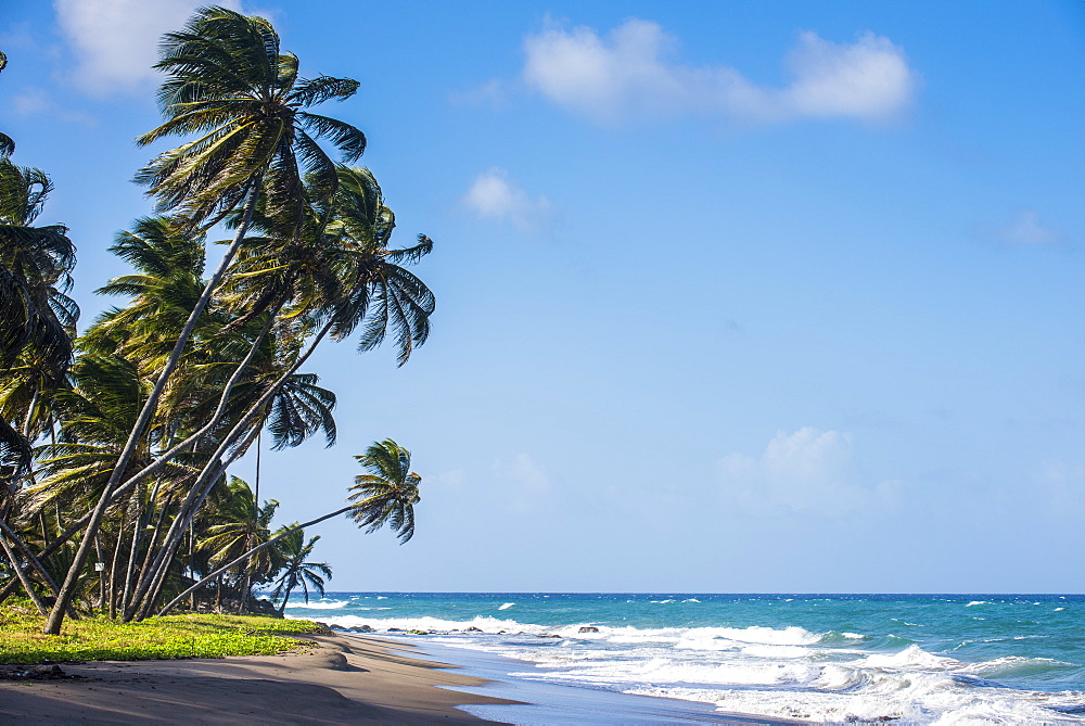 The beach of Sauteurs, Grenada, Windward Islands, West Indies, Caribbean, Central America