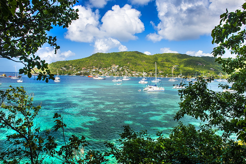 Sailing boats anchoring in Port Elizabeth, Admiralty Bay, Bequia, The Grenadines, St. Vincent and the Grenadines, Windward Islands, West Indies, Caribbean, Central America