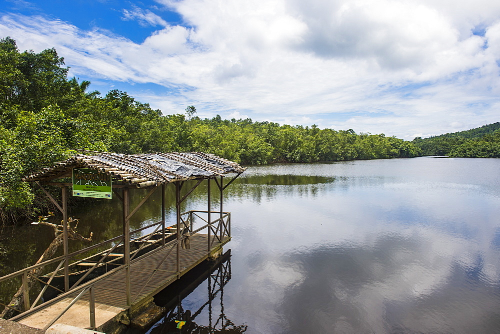 Pier and mangroves on the Malanza River on the south coast of Sao Tome, Sao Tome and Principe, Atlantic Ocean, Africa