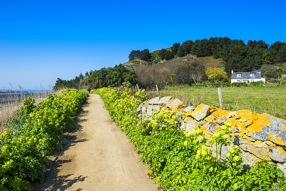 Footpath above a long sandy beach on the east coast of Herm, Channel Islands, United Kingdom, Europe 