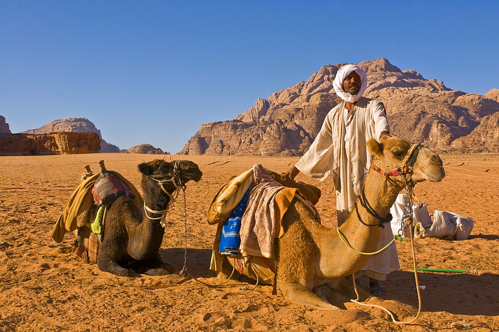 Bedouin with his camels in the stunning scenery of Wadi Rum, Jordan, Middle East