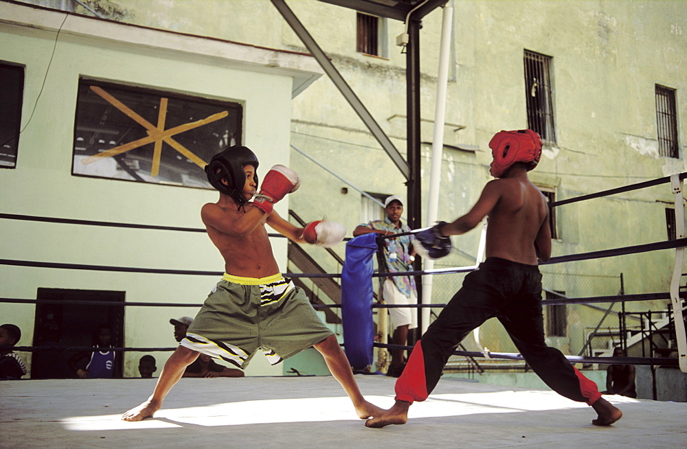 Boxing match between young boys at boxing club, Havana, Cuba, West Indies, Central America