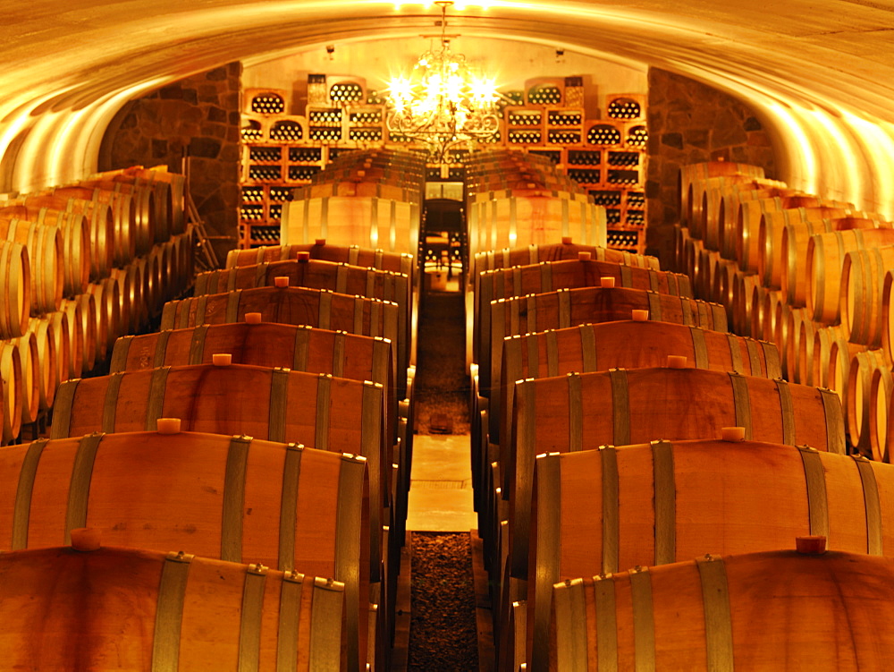 Wine barrels in cellar at Vineland Estates Winery, Vineland, Niagara Region, Ontario, Canada, North America