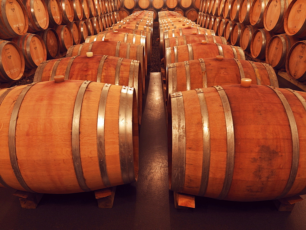 Oak barrels in wine cellar at Fielding Estate Winery, Beamsville, Ontario, Canada, North America