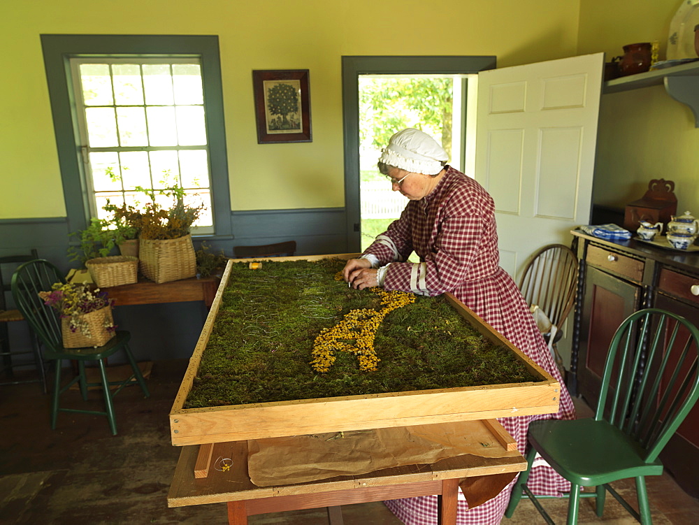 Woman creating a tapestry from moss and dried flowers, Upper Canada Village, Morrisburg, Ontario, Canada, North America