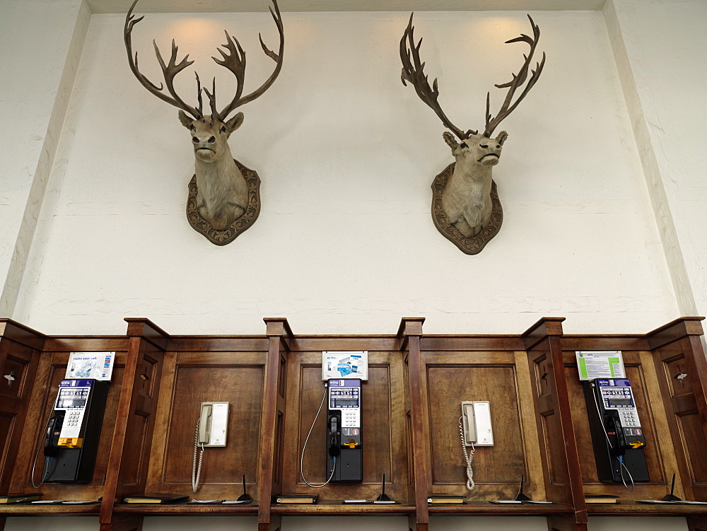 Phone booths with mounted elk heads on wall, Fairmont Chateau, Lake Louise, Banff National Park, Alberta, Canada, North America