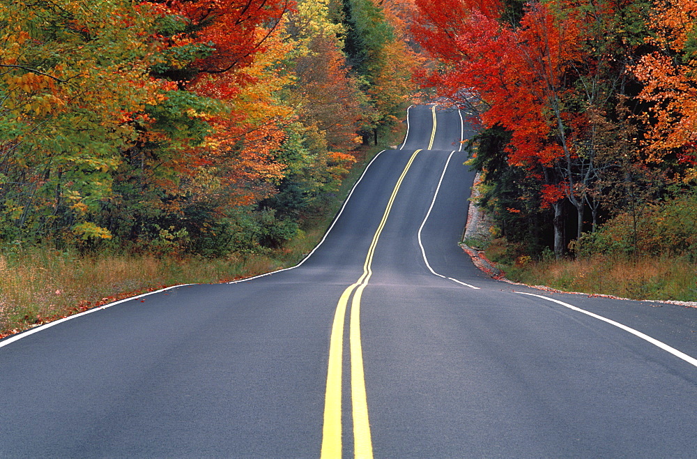 Road in Autumn, Vermont, New England, United States of America, North America