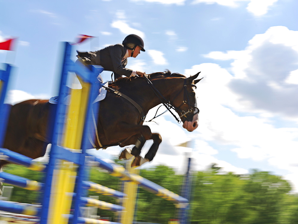 Equestrian jumping hurdle, Niagara-on-the-Lake, Ontario, Canada, North America