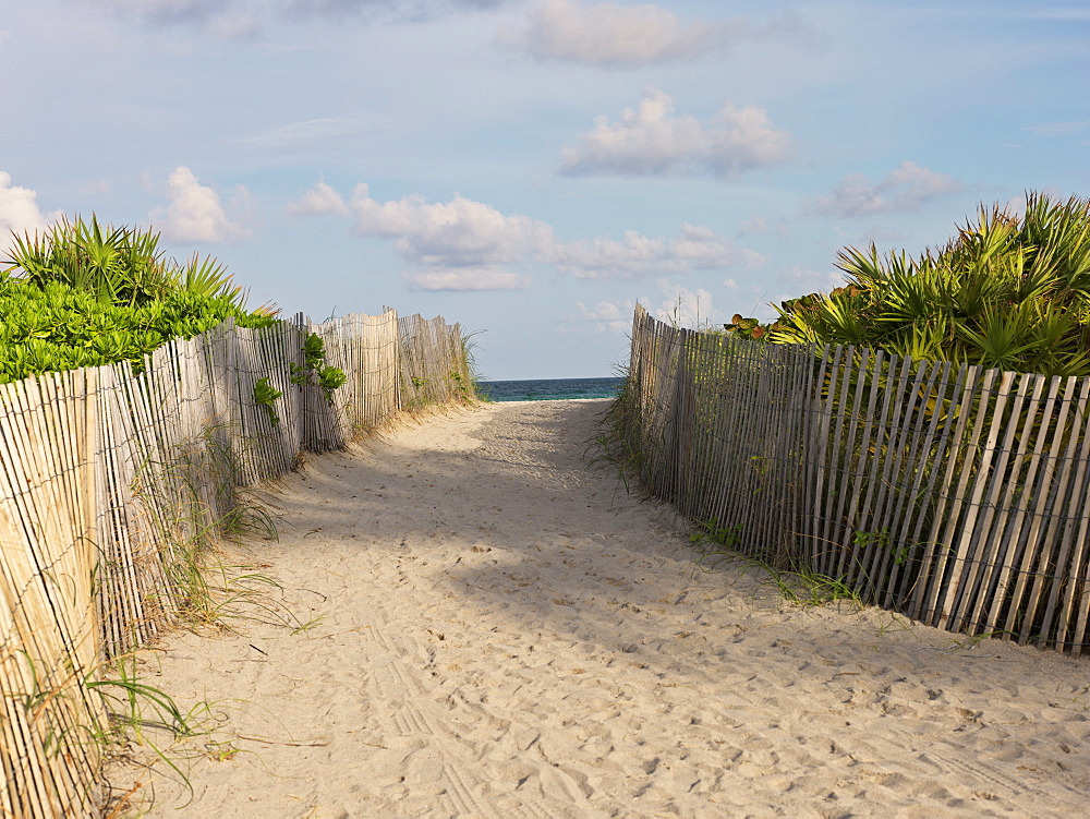 Path leading to beach with wooden fence, Florida, United States of America, North America