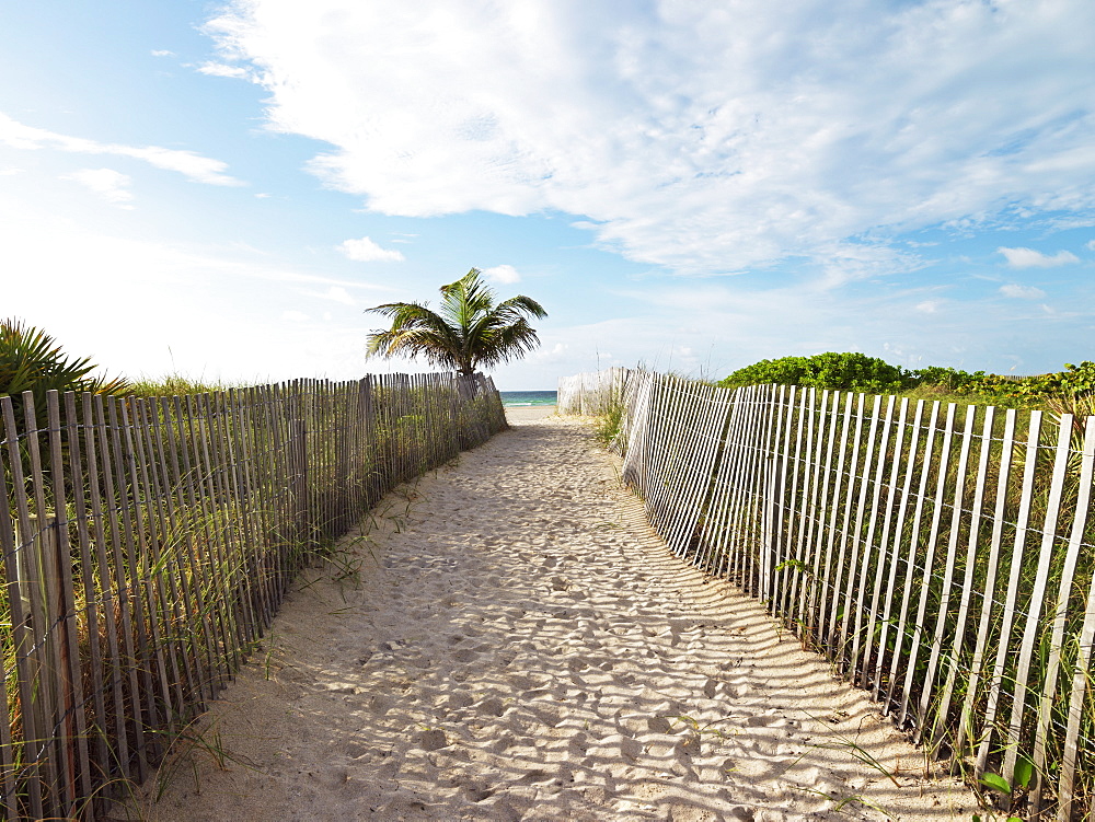 Path leading to beach with wooden fence, South Beach, Miami, Florida, United States of America, North America