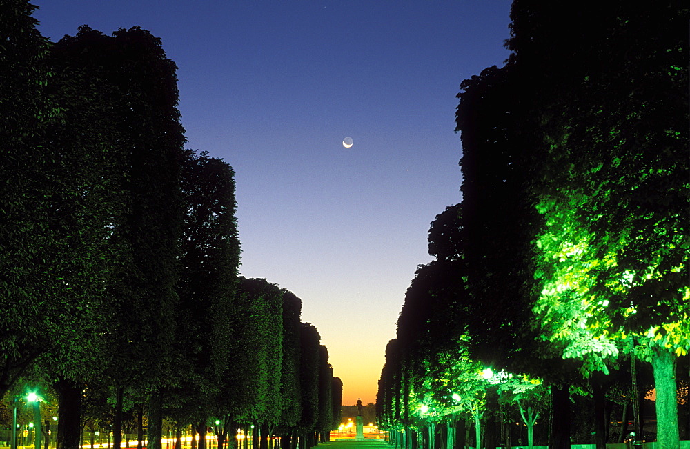 Crescent moon rising over a grove of trees at dawn, Paris, France, Europe