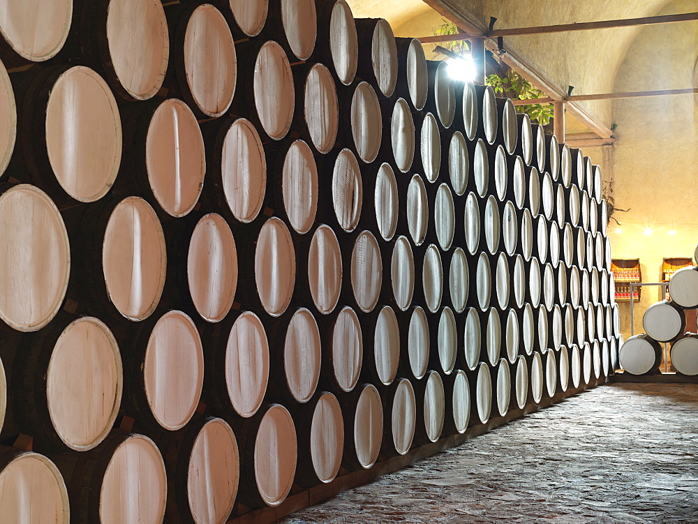 Barrels of tequila on display at the Cofradia distillery, Tequila, Jalisco, Mexico, North America