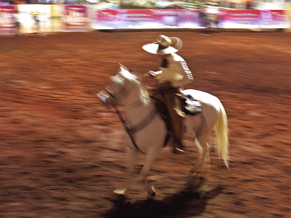 Mexican charro (cowboy) on horse, Guadalajara, Jalisco, Mexico, North America