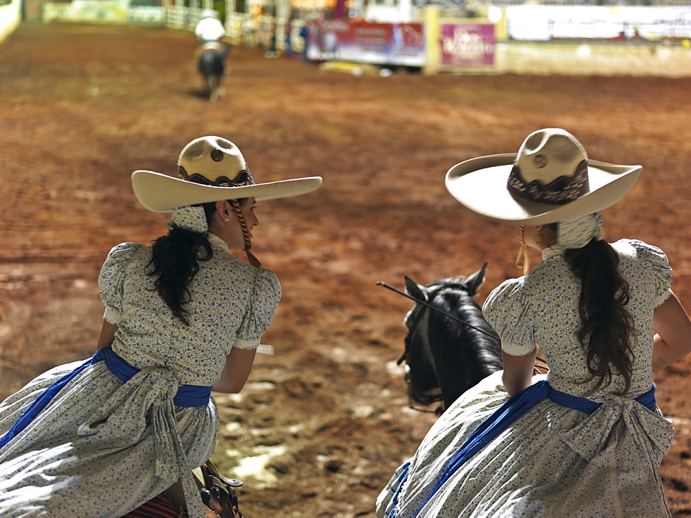 Mexican charras, female cowgirls, on horses at rodeo, Guadalajara, Jalisco, Mexico, North America