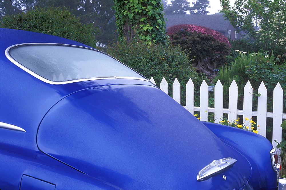 Close-up of antique car, Menocino, California, United States of America, North America