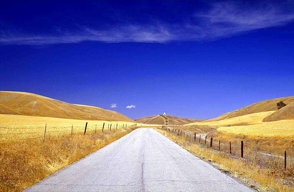 Country road passing through hills and wheat fields, Paso Robles, California, United States of America, North America