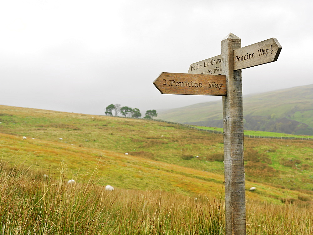 Sign post for the Pennine Way, a 270 mile long walking route, Yorkshire Dales National Park, Yorkshire, England, United Kingdom, Europe