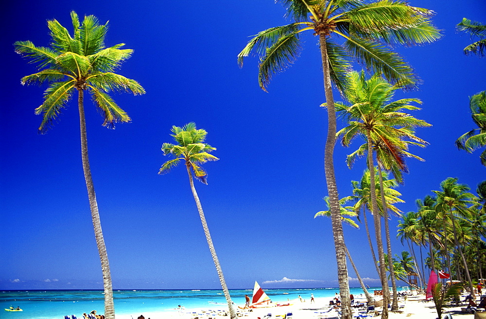 White sandy beach and palm trees facing Caribbean Sea, Bavaro Beach, Punta Cana, Dominican Republic, West Indies, Caribbean, Central America