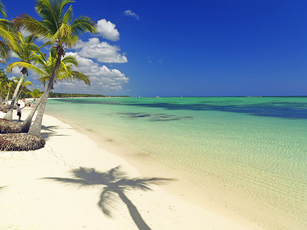 Shadow of palm tree on white sandy beach, Bavaro Beach, Punta Cana, Dominican Republic, West Indies, Caribbean, Central America