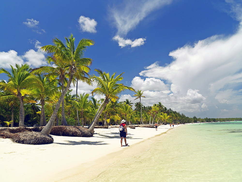 Palm trees and white sandy beach, Bavaro Beach, Punta Cana, Dominican Republic, West Indies, Caribbean, Central America