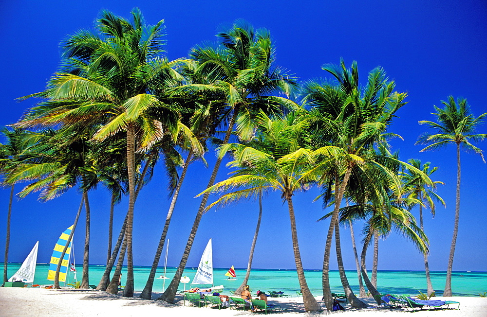 Palm trees, Caribbean Sea and sail boats, Bavaro Beach, Punta Cana, Dominican Republic, West Indies, Caribbean, Central America