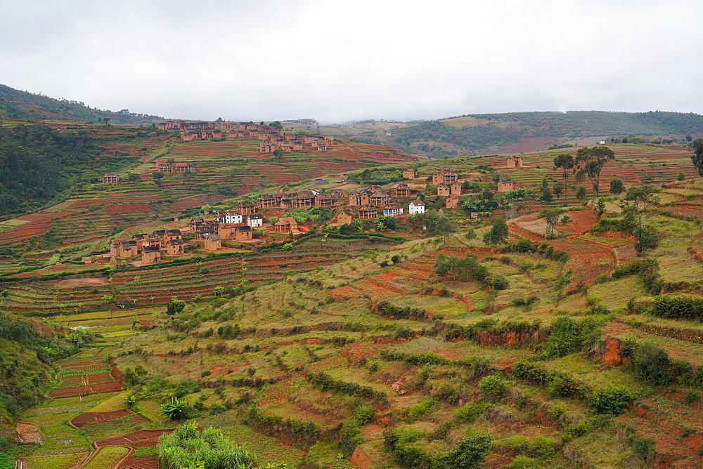 Mud houses in village on terrace fields, Antsirabe, Central Madagascar, Africa