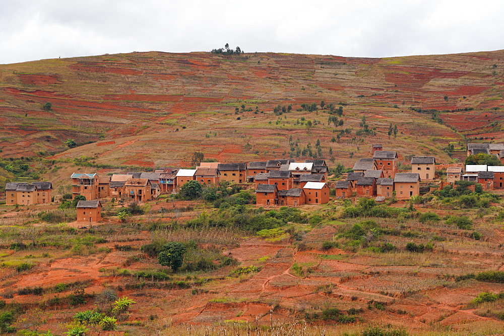 Mud houses village on terrace fields, Antsirabe, Central Madagascar, Africa