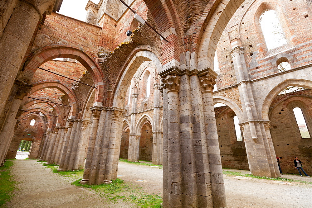 San Galgano Abbey ruins in Chiusdino, Siena, Tuscany, Italy, Europe