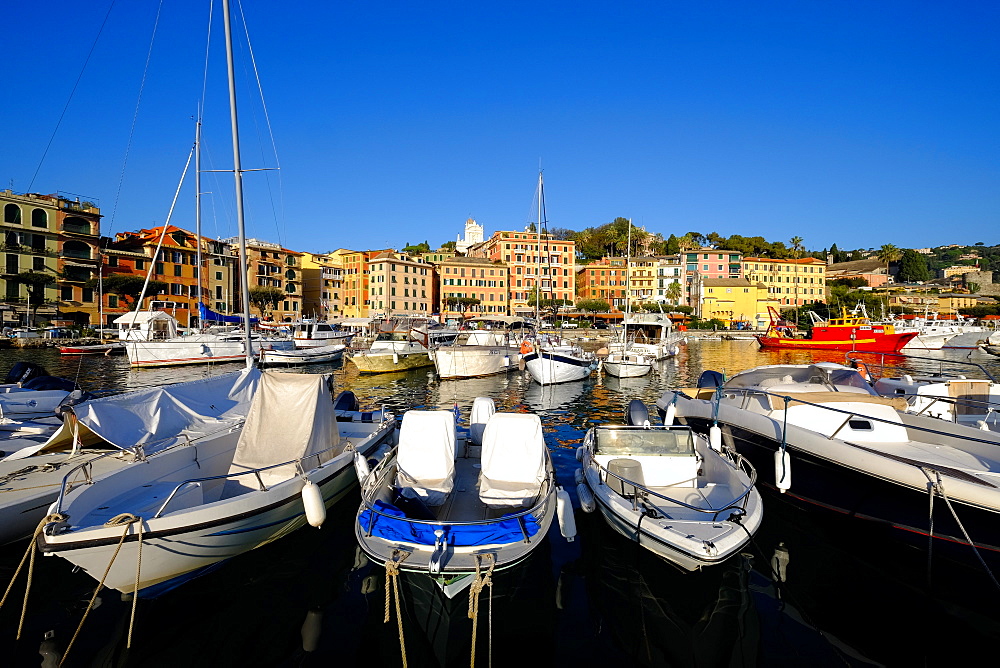 Santa Margherita Ligure harbour, Genova (Genoa), Liguria, Italy, Europe