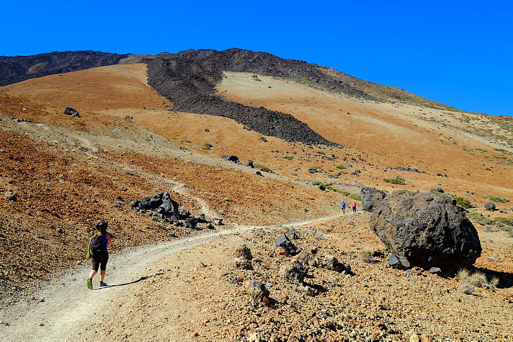 Teide National Park, Tenerife, Canary Islands, Spain, Europe