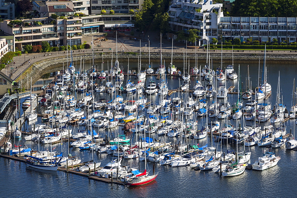 Aerial view, marina, False Creek, Vancouver, British Columbia, Canada, North America