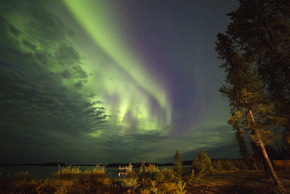 The Northern Lights (aurora borealis) in the night sky above Lake Egenolf in northern Manitoba, Canada, North America