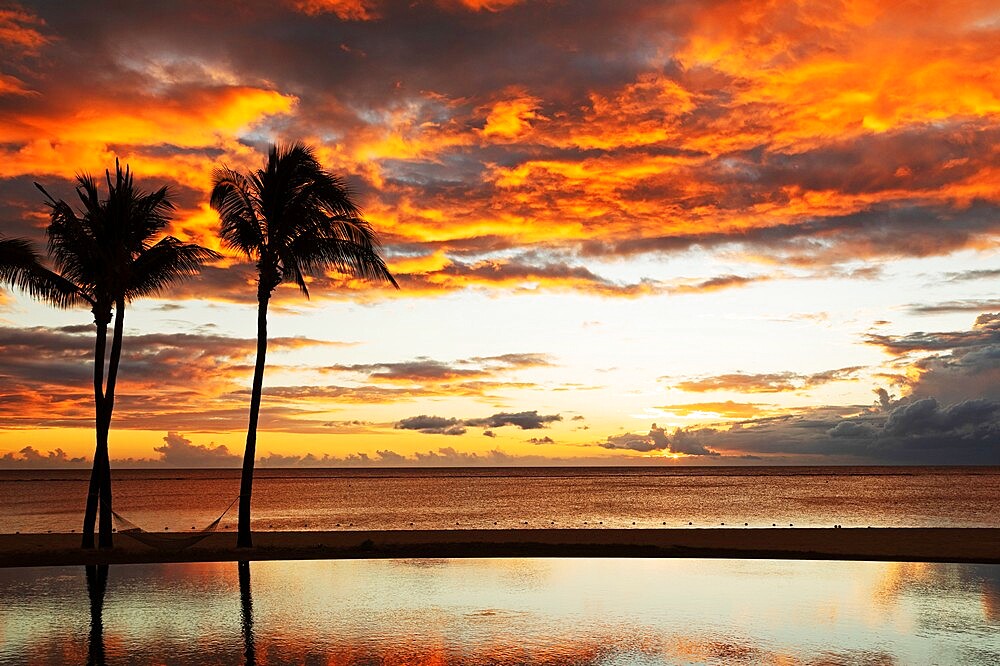 Palm trees silhouetted against red clouds reflect in an infinity pool during sunset over a beach at Flic en Flac, Mauritius, Indian Ocean, Africa