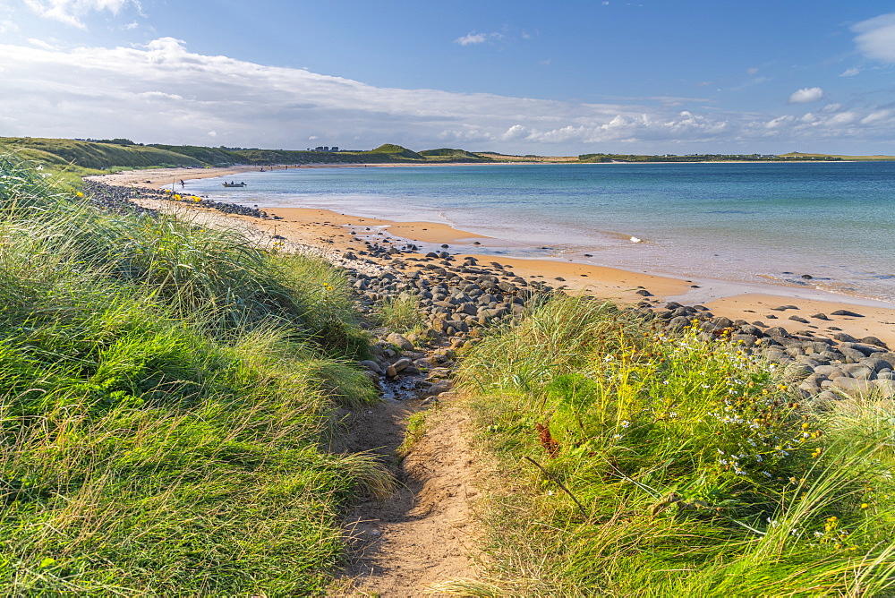 Beach, Embleton Bay, Northumberland, England, United Kingdom, Europe