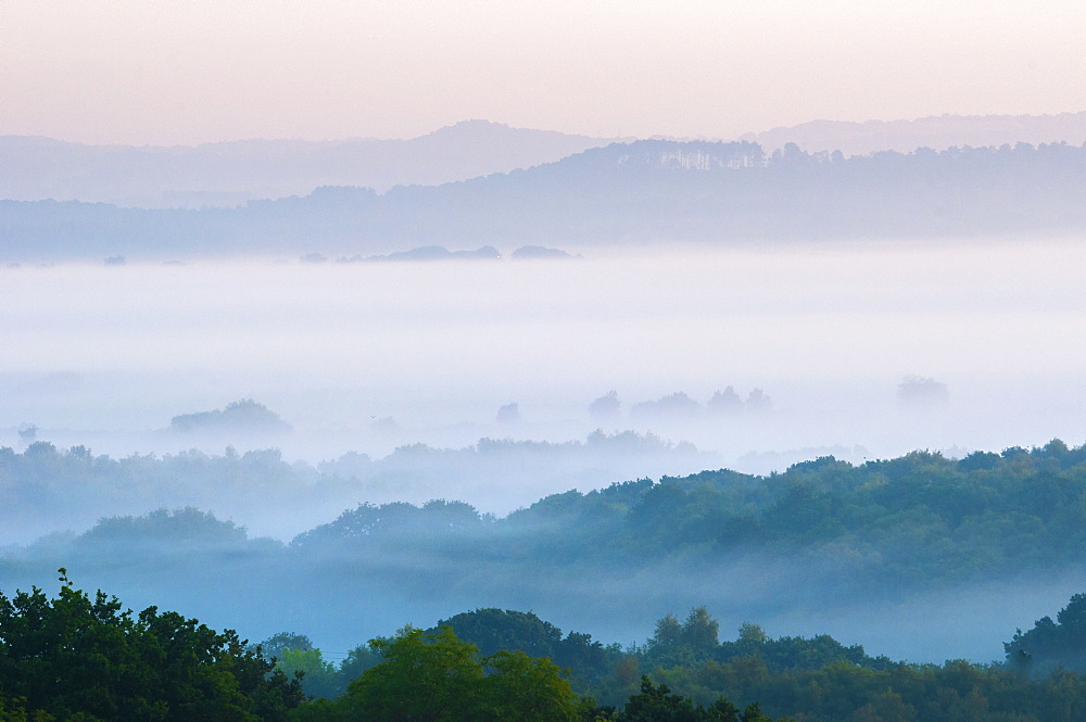 Countryside near Corfe Castle, Dorset, England, United Kingdom, Europe