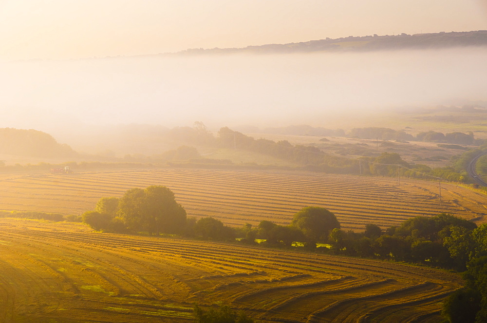 Countryside near Corfe Castle, Dorset, England, United Kingdom, Europe