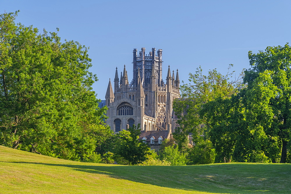 Ely Cathedral, Octagon Lantern Tower viewed from Cherry Hill Park, Ely, Cambridgeshire, England, United Kingdom, Europe