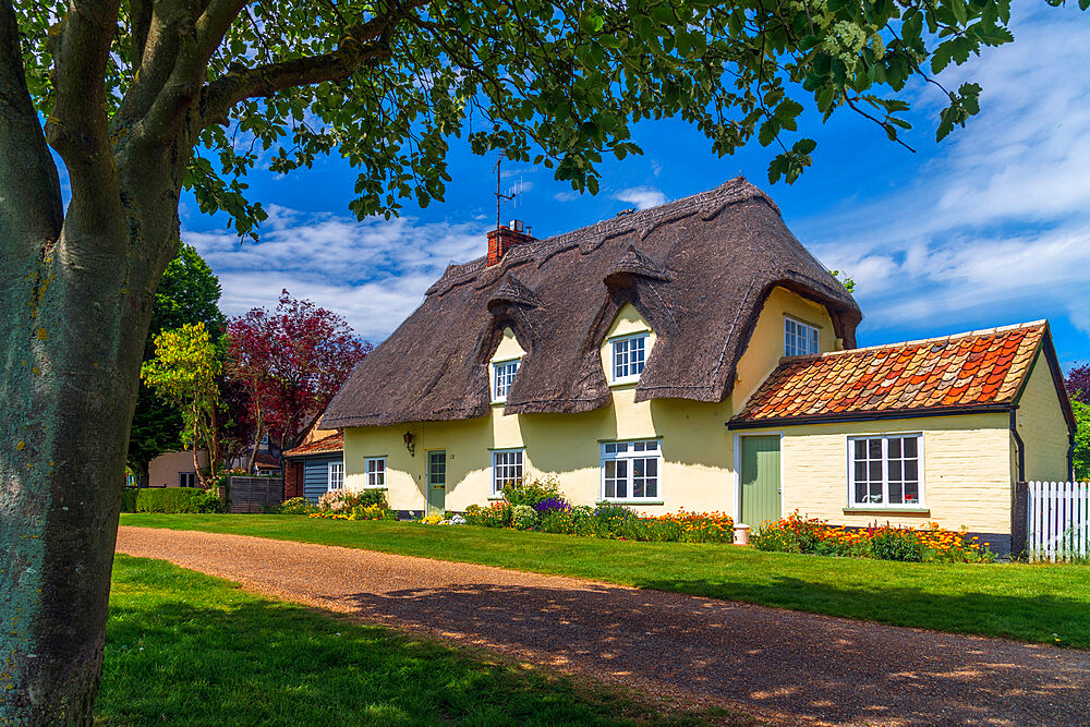 Barrington, Cambridgeshire, England, United Kingdom, Europe