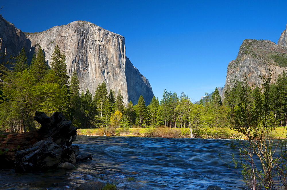 Merced River, Yosemite National Park, UNESCO World Heritage Site, California, United States of America, North America