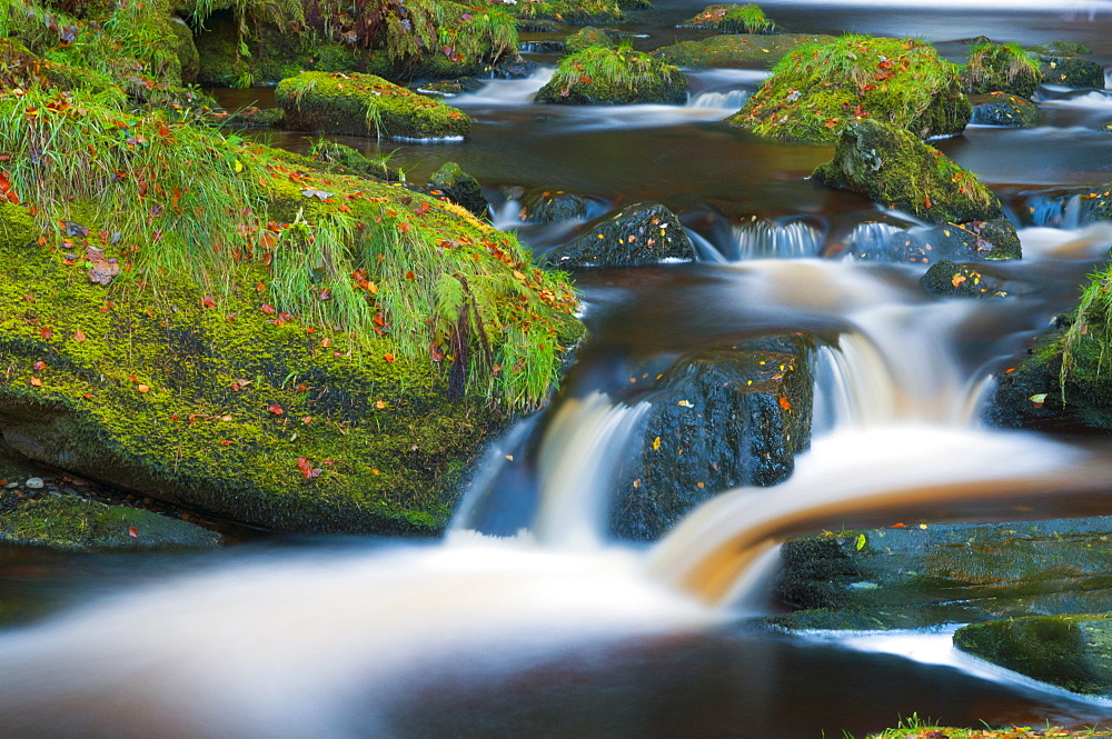 Llanrhaeadr ym Mochnant, Pistyll Rhaeadr Waterfalls, Berwyn Mountains, Powys, Wales, United Kingdom, Europe 