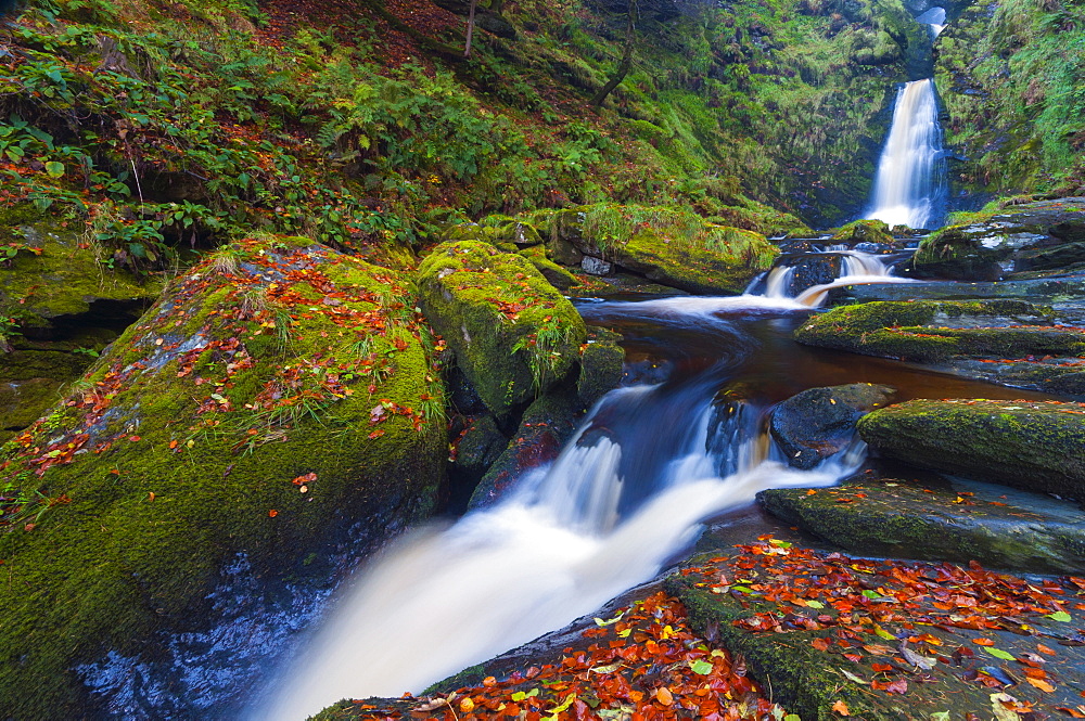 Llanrhaeadr ym Mochnant, Pistyll Rhaeadr Waterfalls, Berwyn Mountains, Powys, Wales, United Kingdom, Europe 