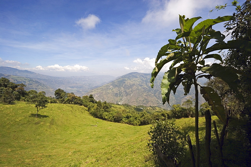 The verdant slopes of the active Tungurahua Volcano that threatens the nearby town of Banos, Ambato Province, Central Highlands, Ecuador, South America