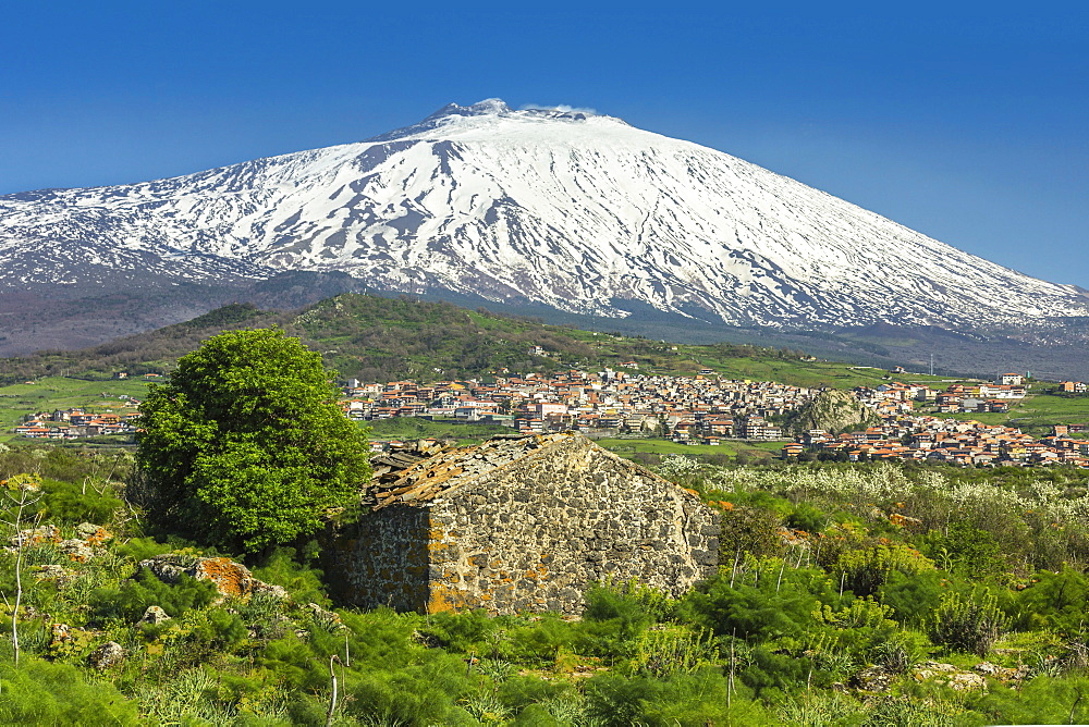 The 3350m snow-capped volcano Mount Etna, UNESCO World Heritage Site, looms over the Maletto town on its western flank, Maletto, Catania Province, Sicily, Italy, Europe