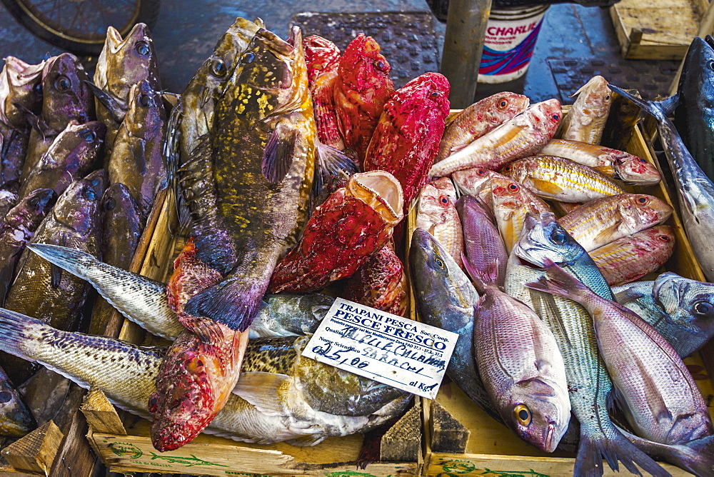 Colourful fish for sale at a market in this busy north western fishing port; Trapani, Sicily, Italy, Europe